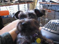 Mimi 8.JPG Mimi 8.JPG